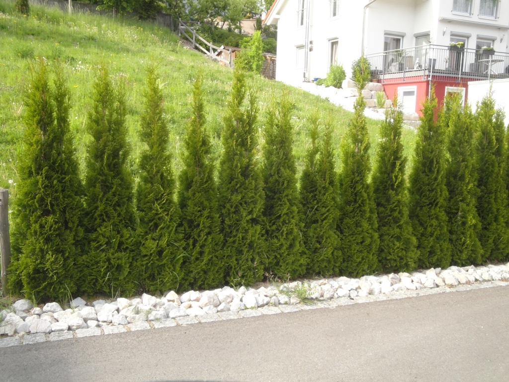 Uwe Kaißer, Forstwirtschaftsmeister